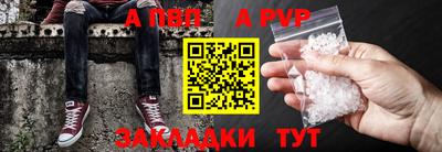 стаф Кингисепп
