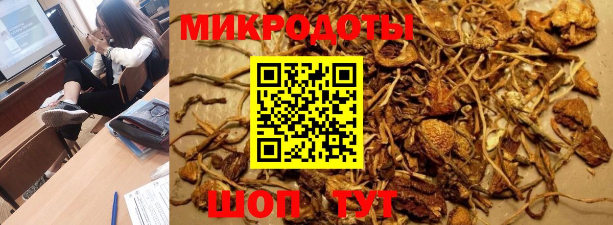 Псилоцибиновые грибы Psilocybine cubensis  Вход с VPN  Краснознаменск 
